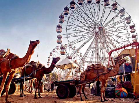 3 Days Jaipur Pushkar Tour Package