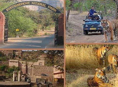 2 Days Ranthambhore Tour Package
